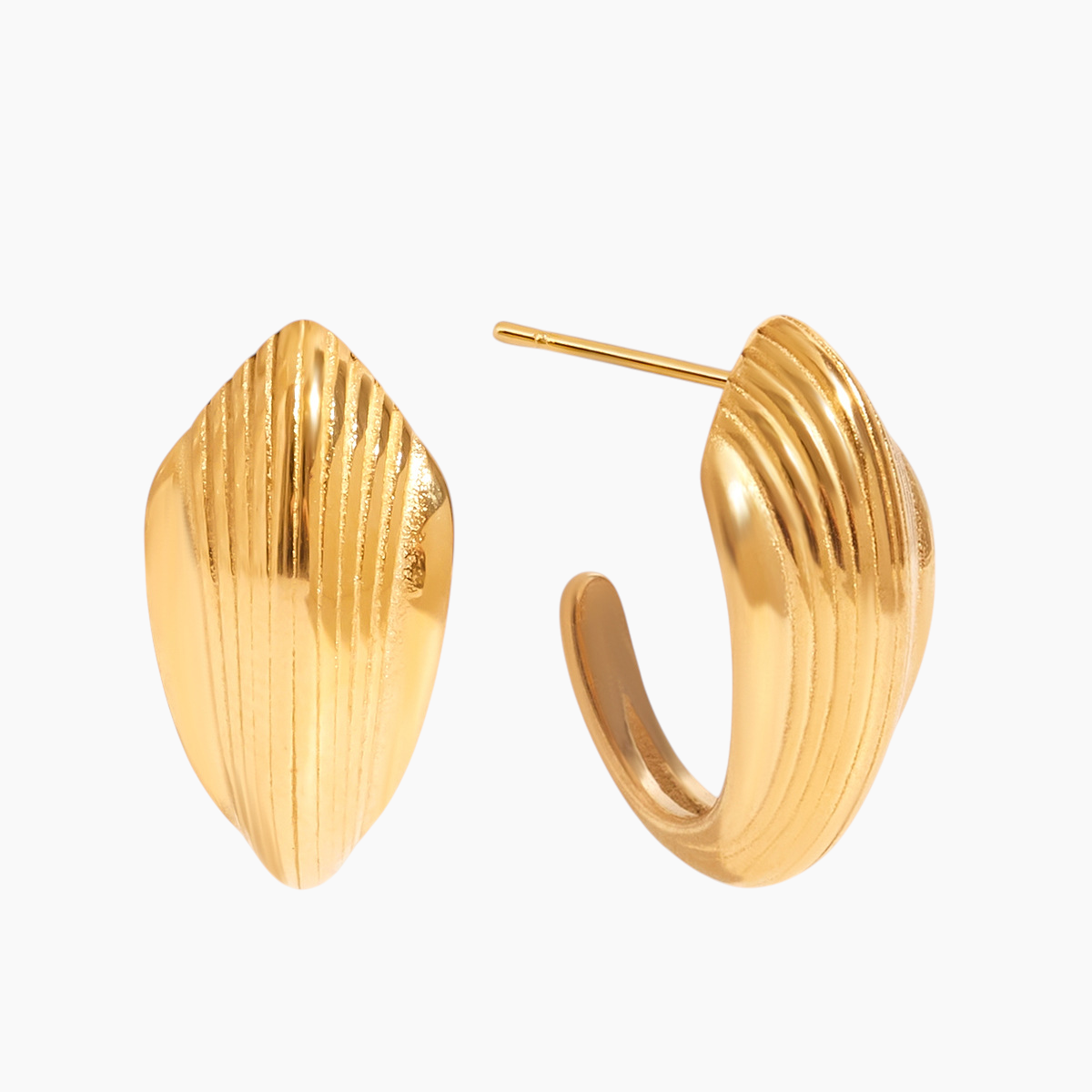 Sculpted Shell Curve Earrings