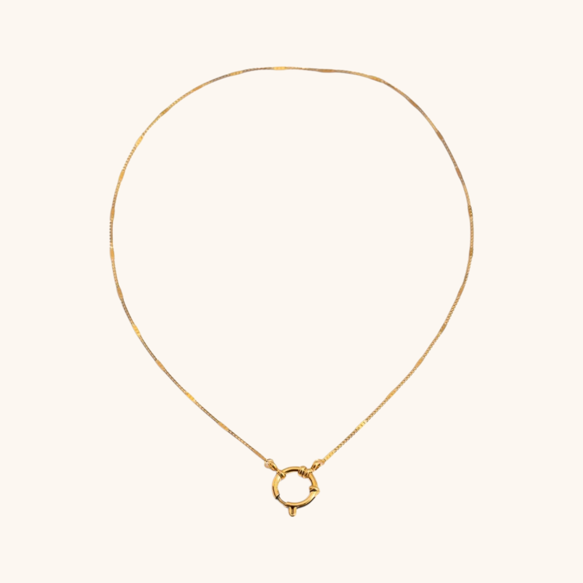 Sleek Snake Chain Necklace