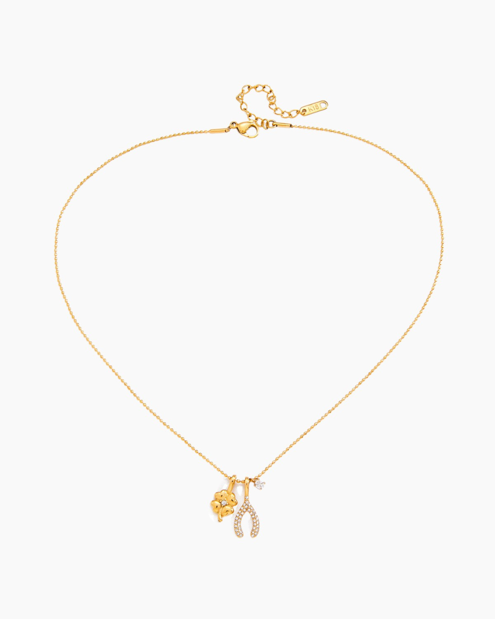 Lucky Charm Wishbone Necklace