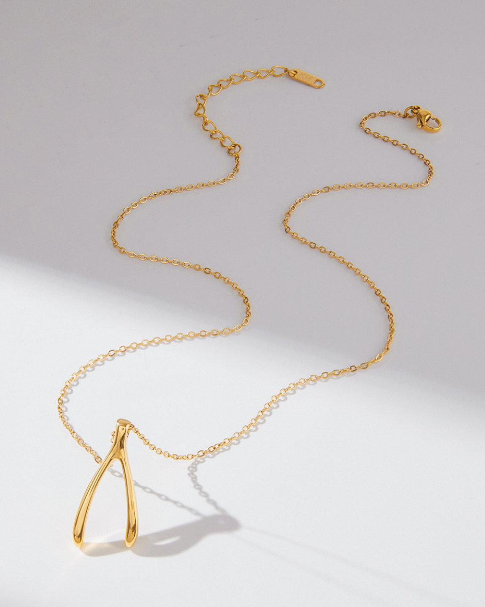 Golden Wishbone Necklace