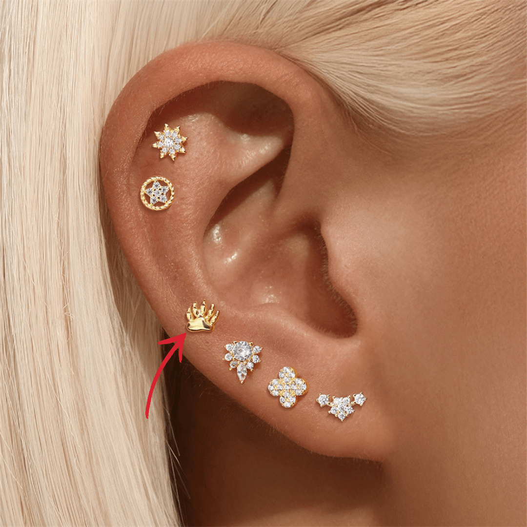 Paw Print Stud Earrings - mifjewelry