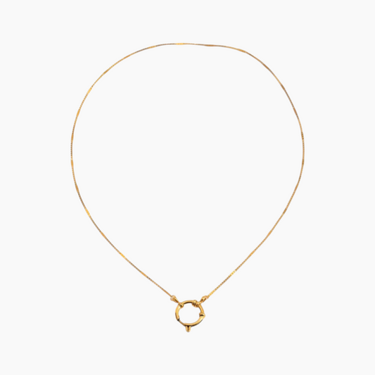 Sleek Snake Chain Necklace