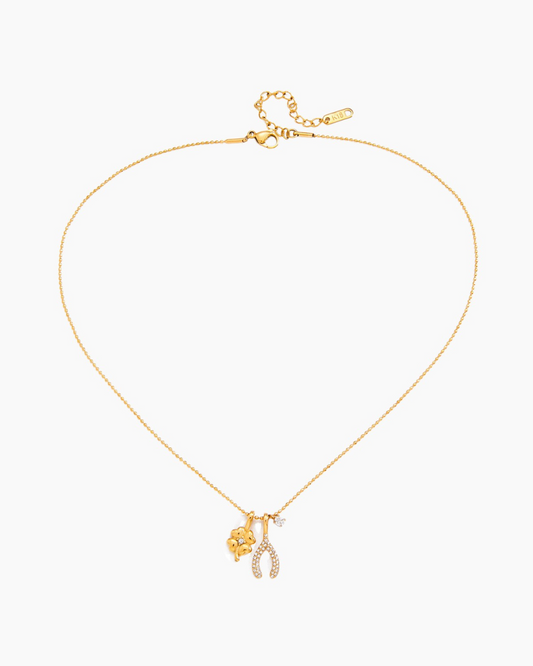Lucky Charm Wishbone Necklace