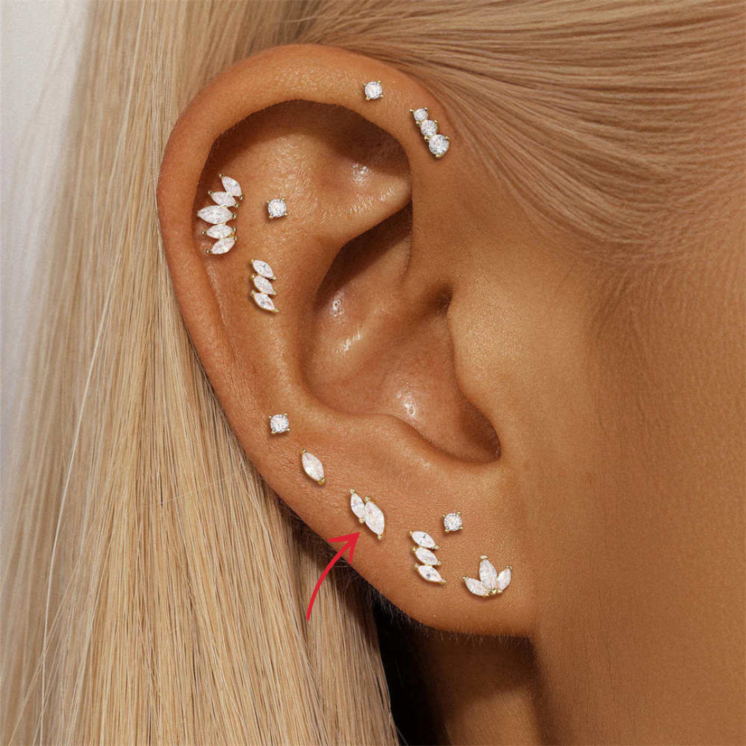 14K gold earrings featuring zirconia stones in butterfly shape