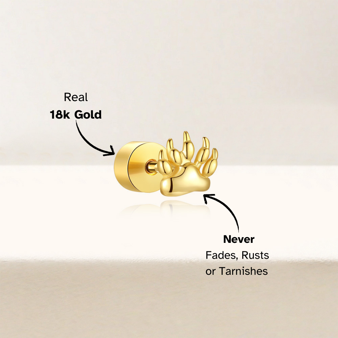 Elegant cat paw stud earrings in gold with shimmering zirconia stones, crafted from S925 sterling silver.