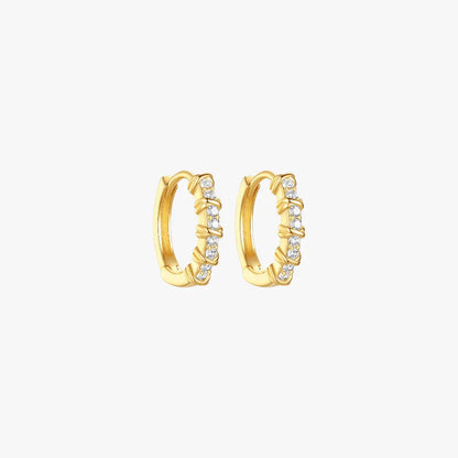Twisted Hoop Earrings